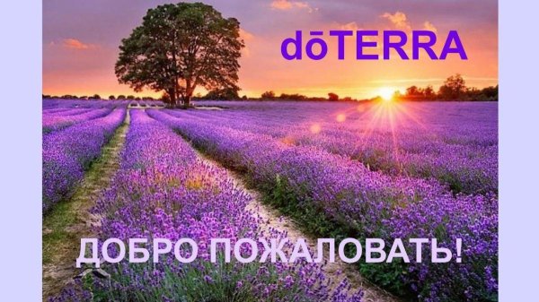 испарта лавандовые поля