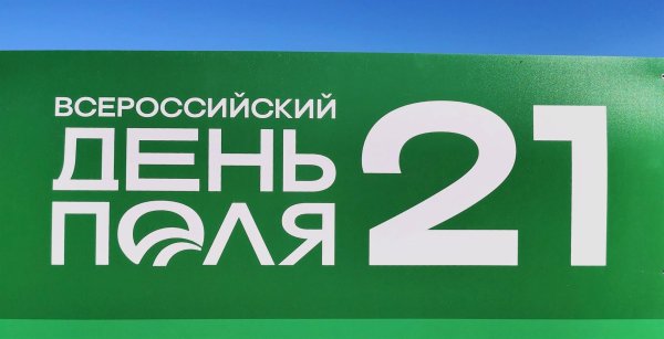 день всероссийского поля 2023