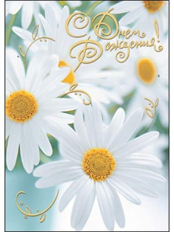 с днем рождения ромашки открытки