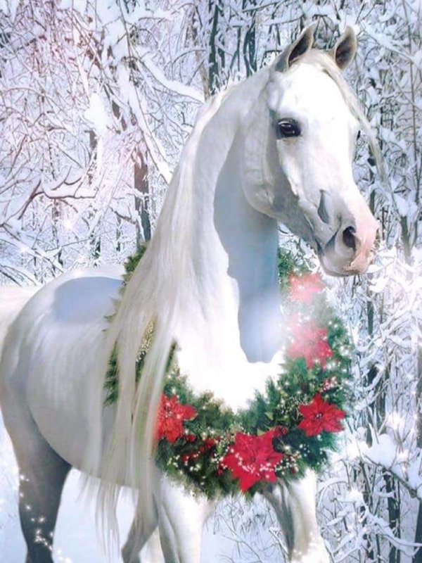 прекрасные лошади