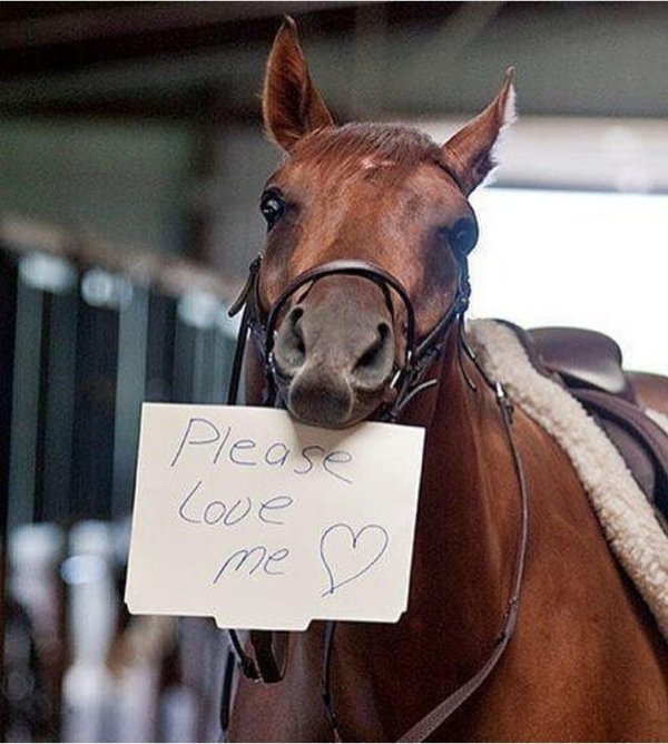 прикольный конь