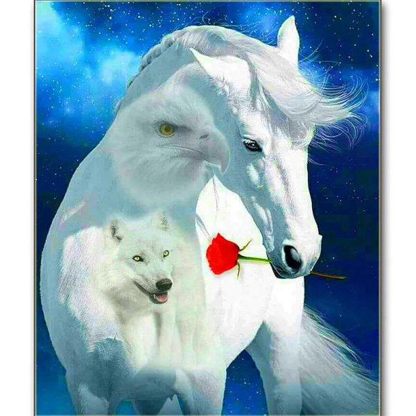 белые волки