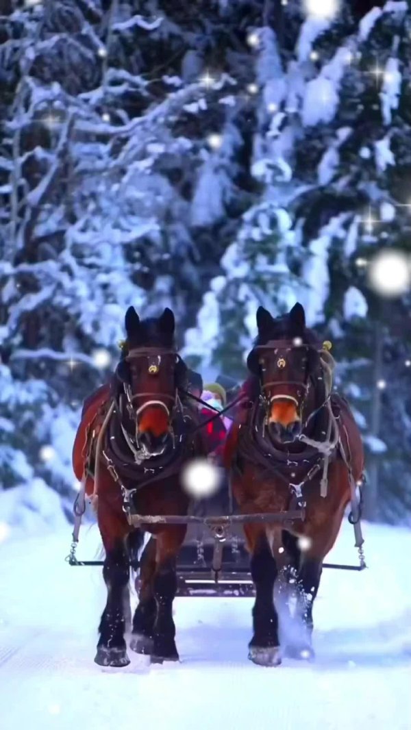 конная упряжка тройка