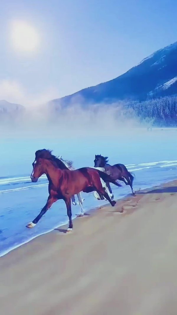 природа лошади