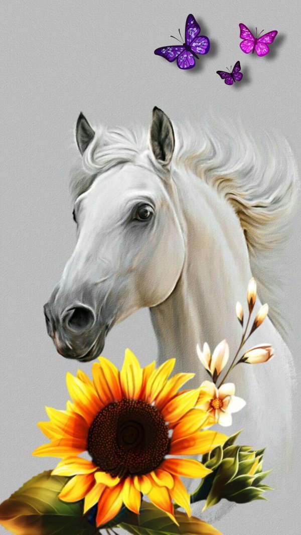 рисунок лошадей