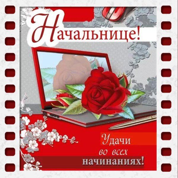 с днем рождения начальница