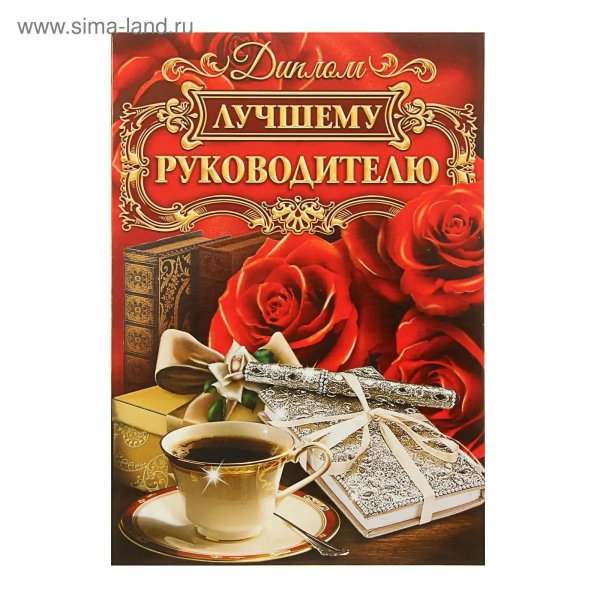 диплом лучшего руководителя