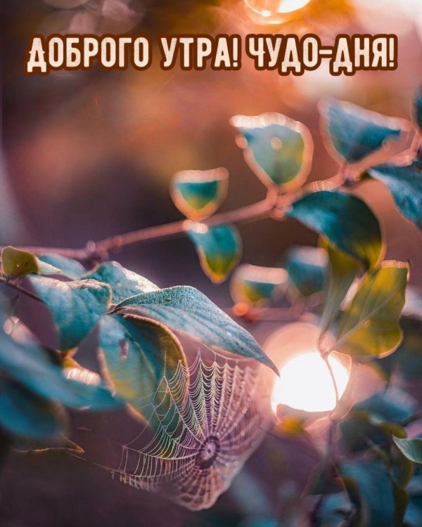 чудо утро