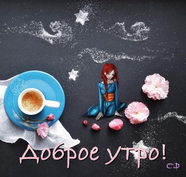 художницаиллюстратор cinzia bolognesi