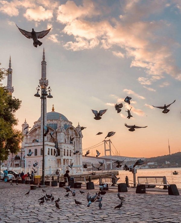 фотографии стамбула