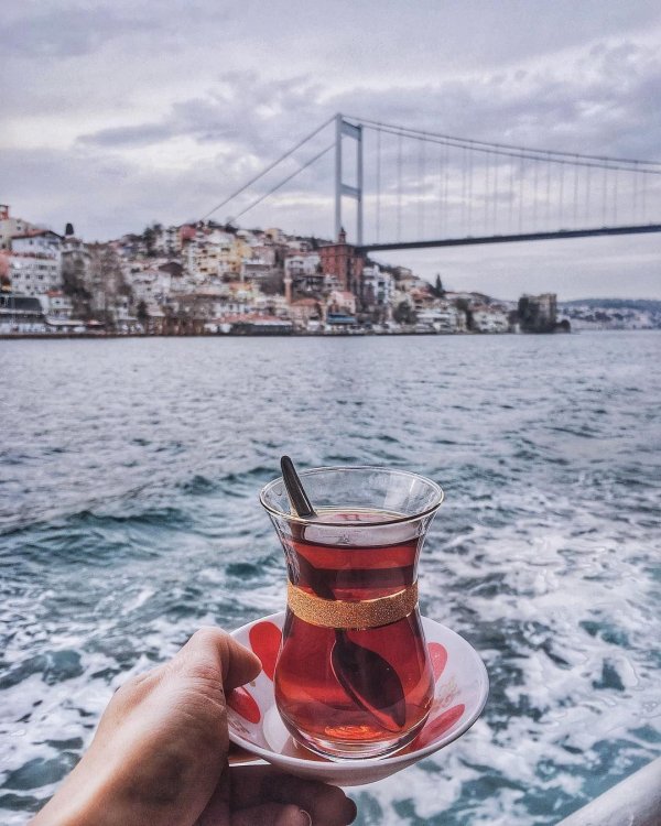 армуды стамбул