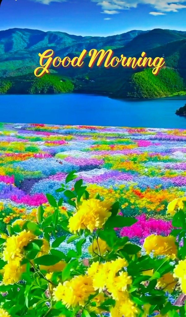 природа красивая