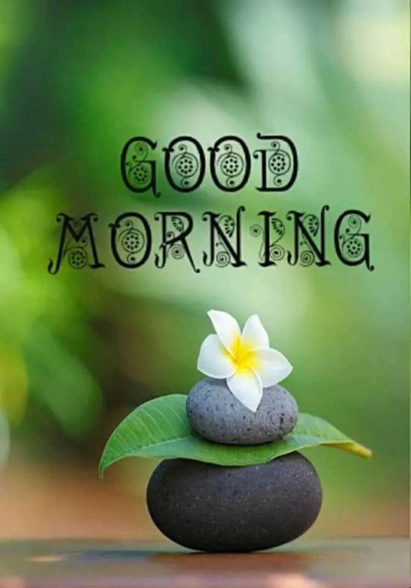 good morning картинки