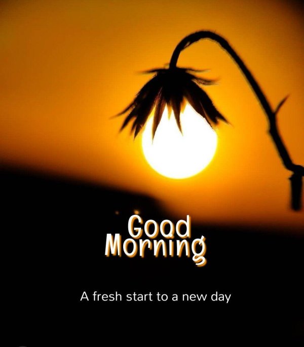 рассвет доброе утро