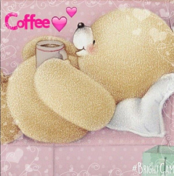 forever friends мишки