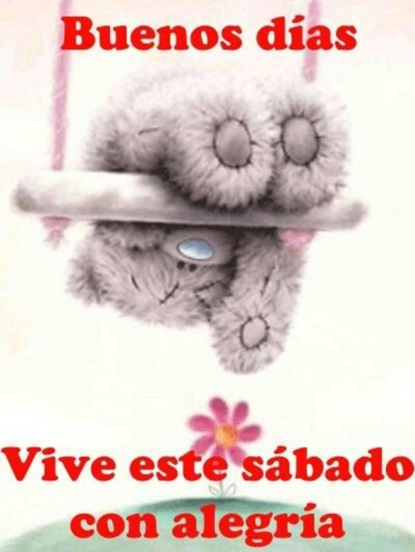 тедди скучает