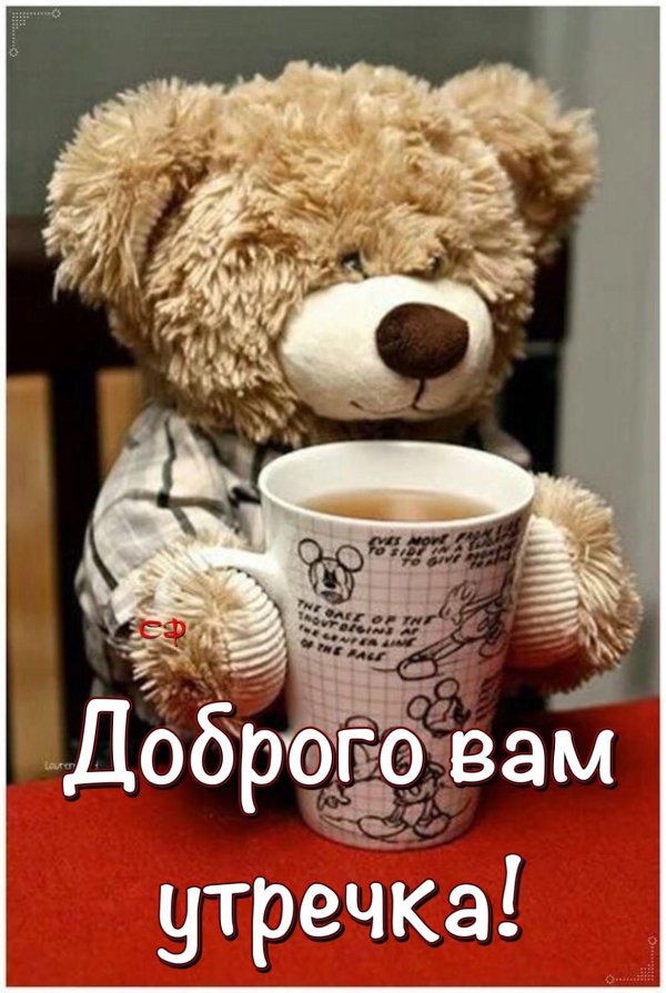 открытки с добрым утром с медведями