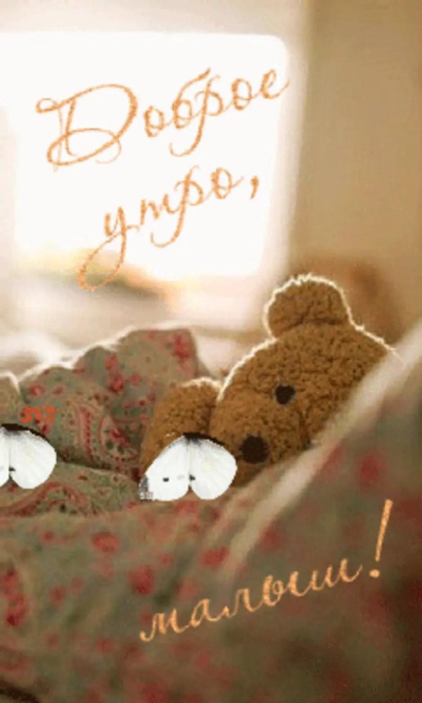 плюшевая мишка