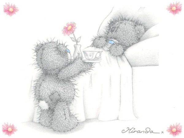 медвежонок тедди