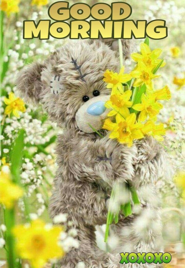 медвежонок с ромашками