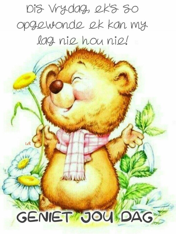 мишки обнимаются