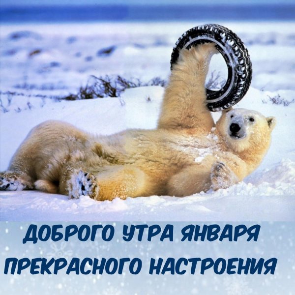 доброго утра зима прикольные