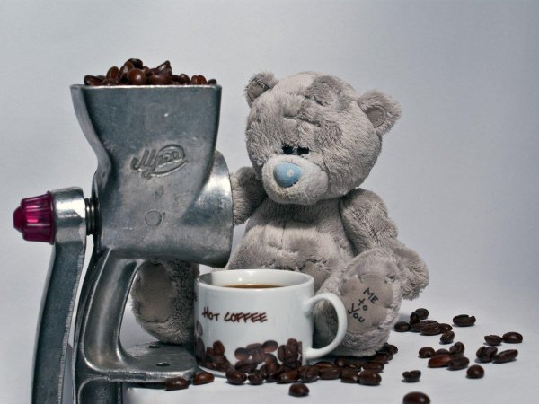мишка на кофе