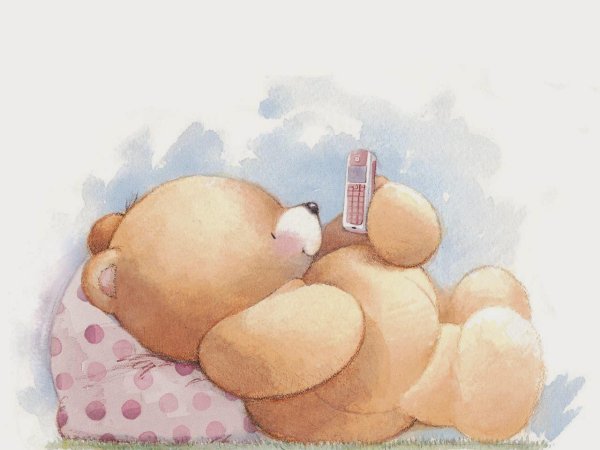 милые мишки рисунки