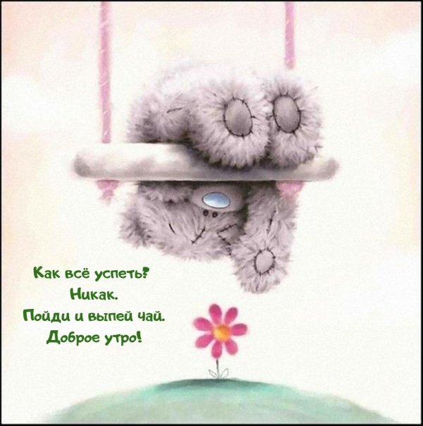 тедди скучает