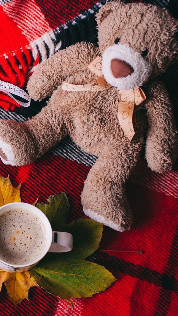 осенний плед