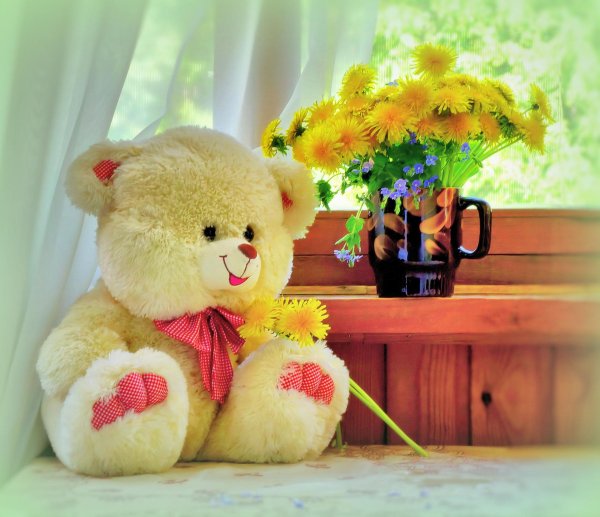 medvezhonok s cvetami