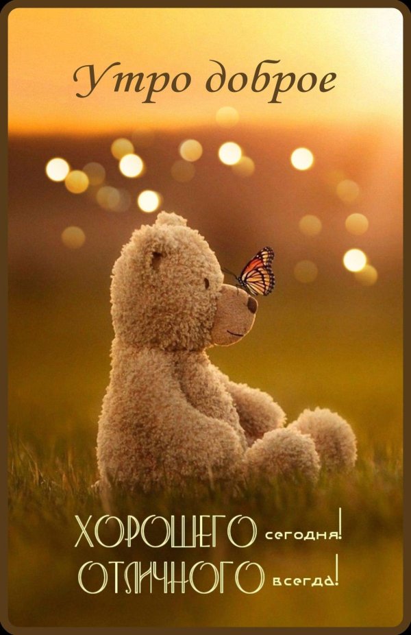 доброе утро медведи