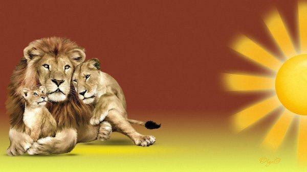 семья львов