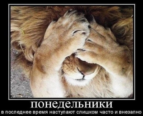 а завтра понедельник