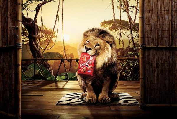 коллаж со львом