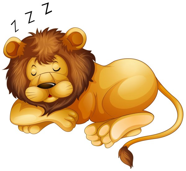 lions sleeping clipart