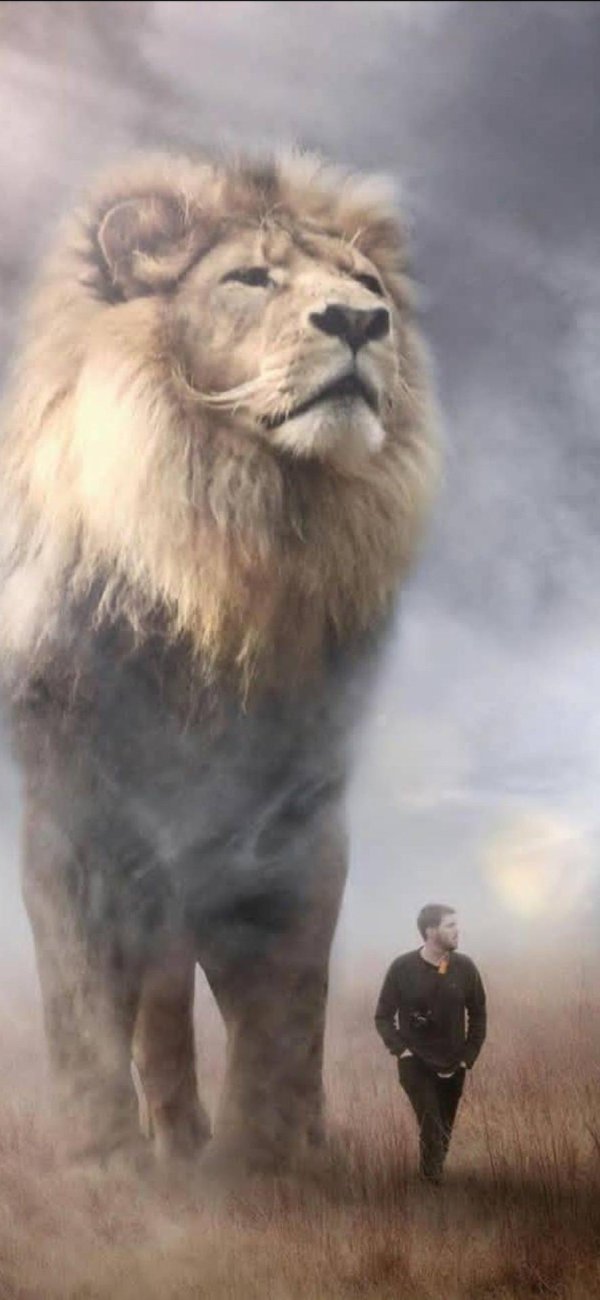 эбен маккриммон большие животные люди