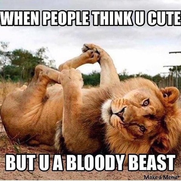 смешная львица