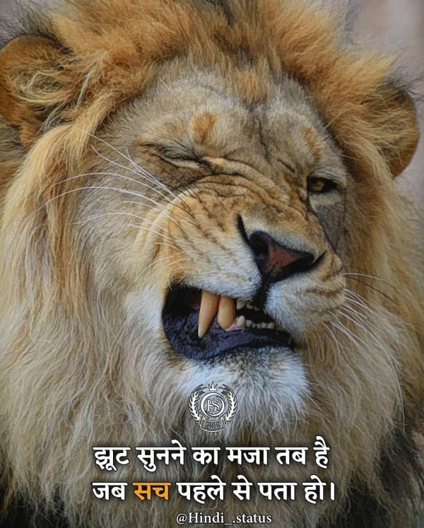 львиный оскал