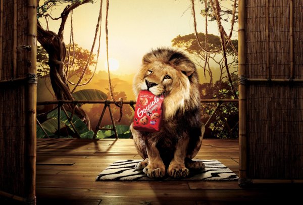 коллаж со львом