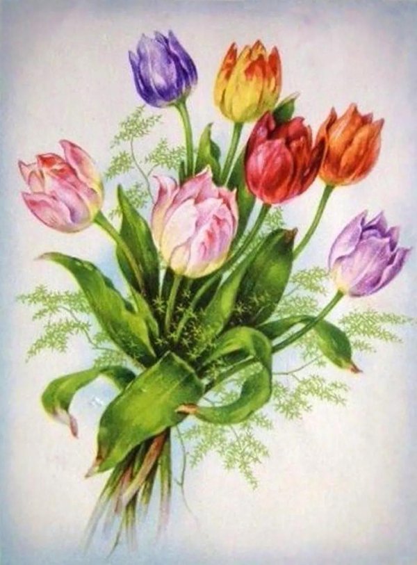 тюльпаны в живописи