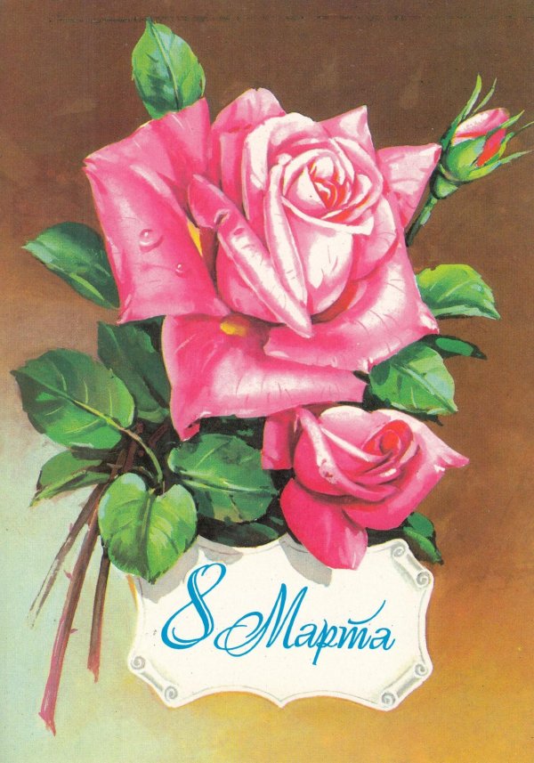 куртенко открытки ссср