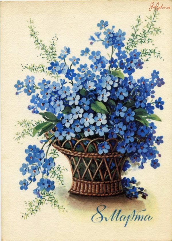 цветок незабудка