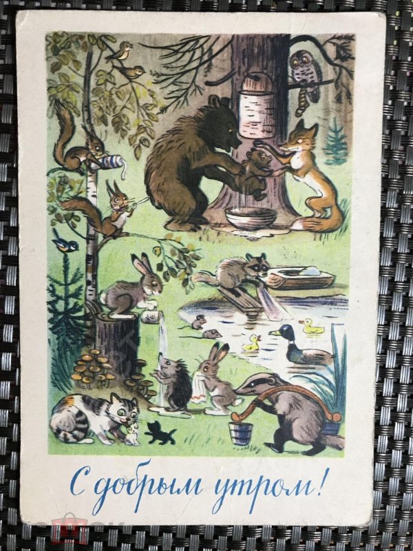 сутеев иллюстратор