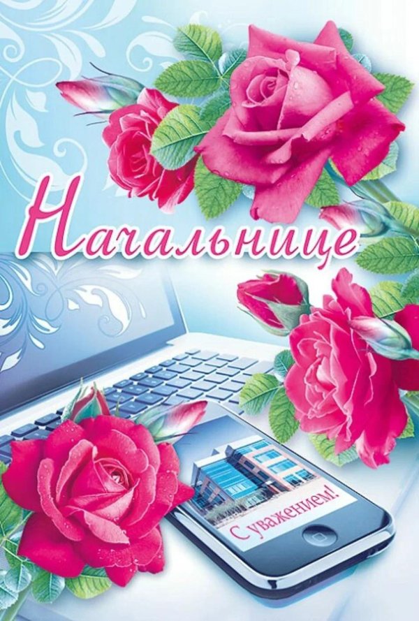 с днем рождения начальница