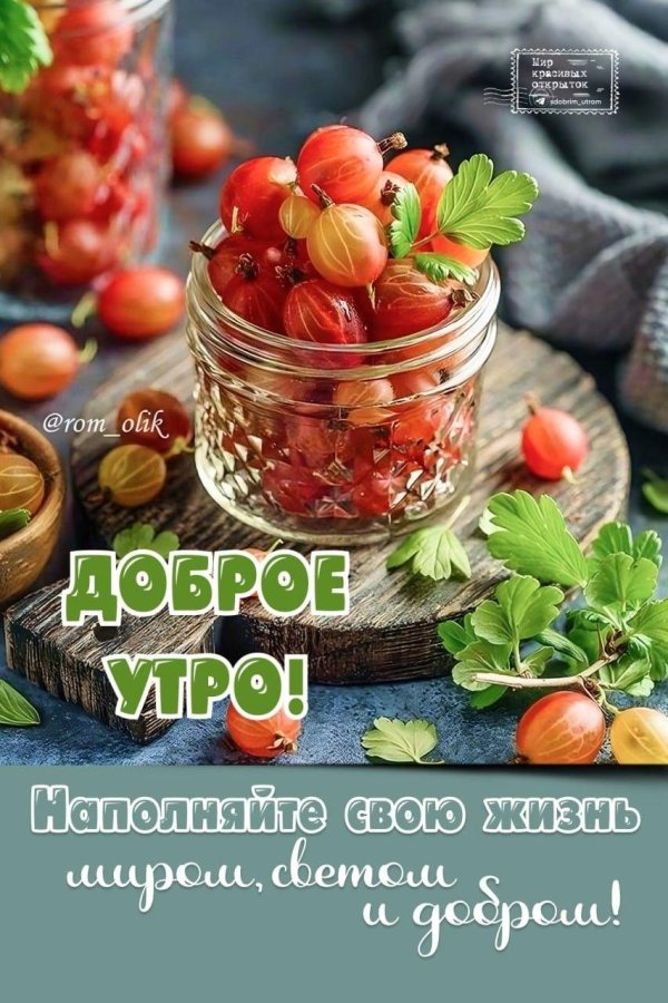 доброе августовское утречко