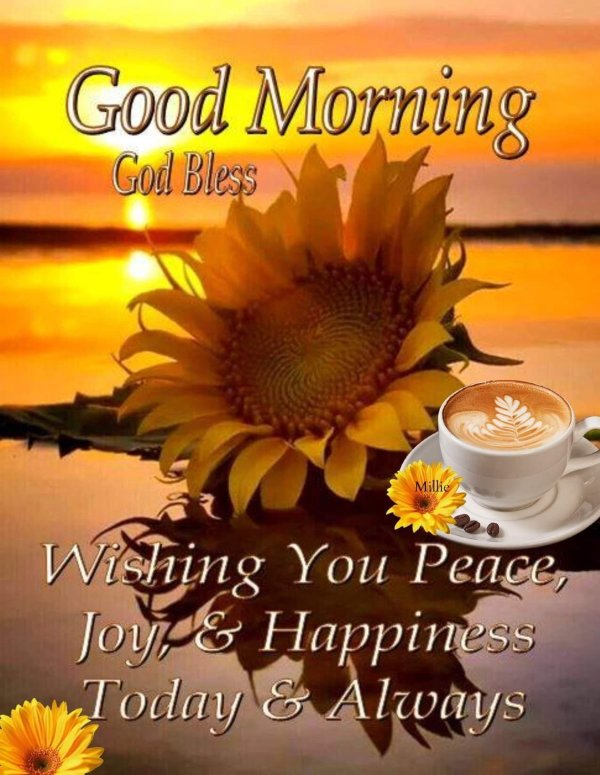 Август доброе утро