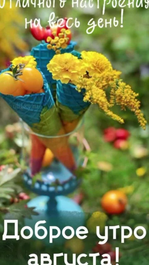 доброго августовского утра