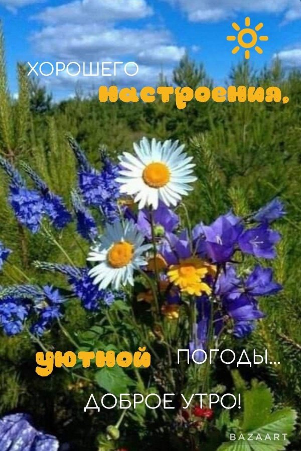 добрейшего летнего утра