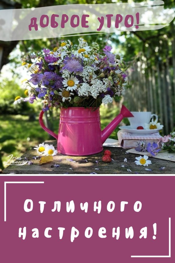 доброго летнего утра субботы